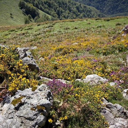 Chambres d'Hôtes Etché Lacarry-Arhan-Charritte-de-Haut Esterno foto