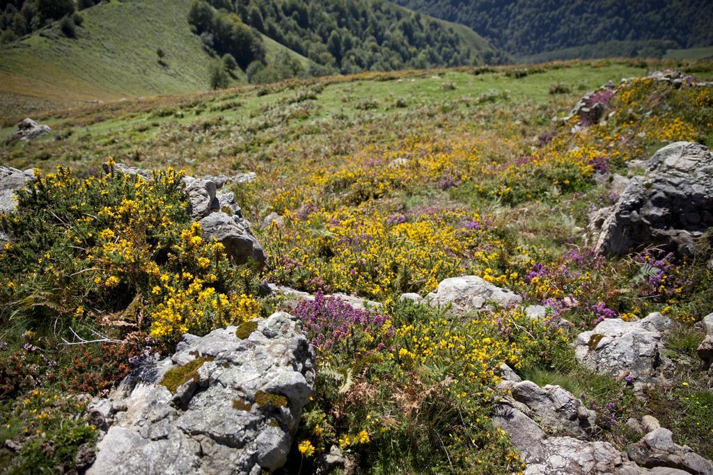 Chambres d'Hôtes Etché Lacarry-Arhan-Charritte-de-Haut Esterno foto